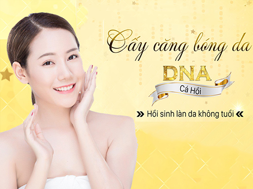 1577700449cay-DNA-ca-hoi-sieu-cang-bong.jpg