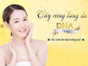 Cấy DNA Cá Hồi siêu căng bóng trẻ hóa da